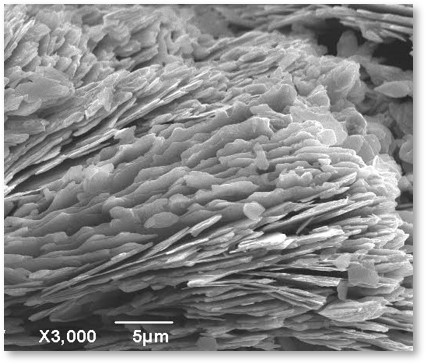 フラックス法で層状に育成した三チタン酸ナトリウムのSEM像